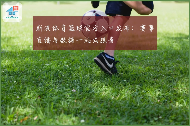 新浪体育篮球官方入口发布：赛事直播与数据一站式服务