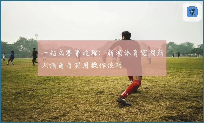 一站式赛事追踪：新浪体育官网新人指南与实用操作技巧