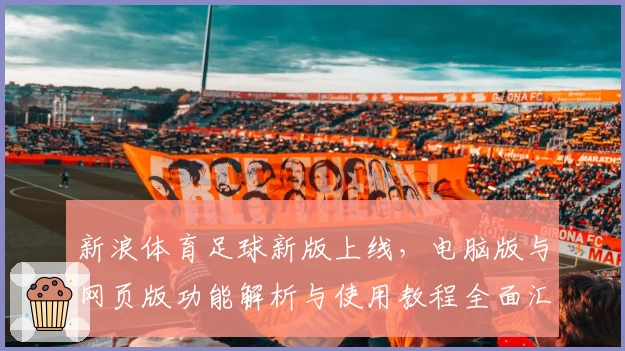 新浪体育足球新版上线，电脑版与网页版功能解析与使用教程全面汇总