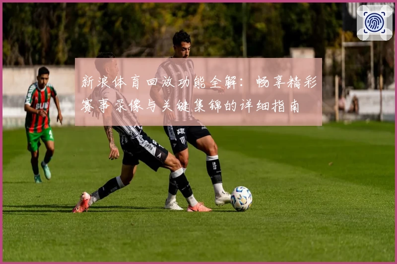 新浪体育回放功能全解：畅享精彩赛事录像与关键集锦的详细指南