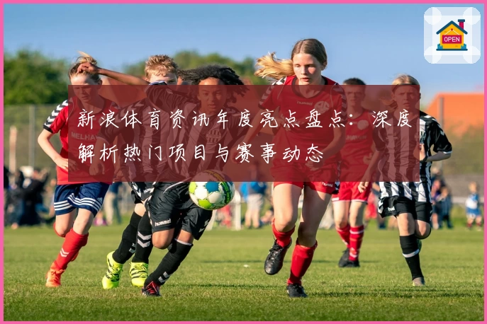 新浪体育资讯年度亮点盘点：深度解析热门项目与赛事动态