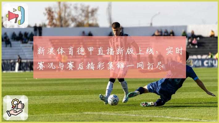 新浪体育德甲直播新版上线，实时赛况与赛后精彩集锦一网打尽