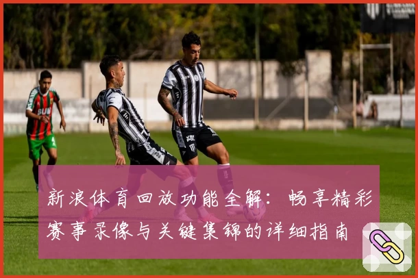 新浪体育回放功能全解：畅享精彩赛事录像与关键集锦的详细指南