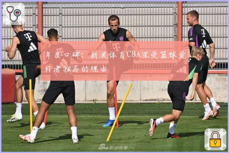 年度口碑：新浪体育CBA深受篮球爱好者推荐的理由