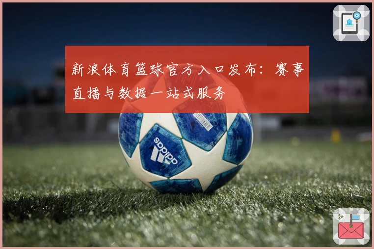 新浪体育篮球官方入口发布：赛事直播与数据一站式服务